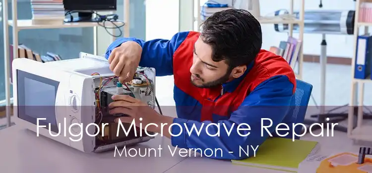 Fulgor Microwave Repair Mount Vernon - NY