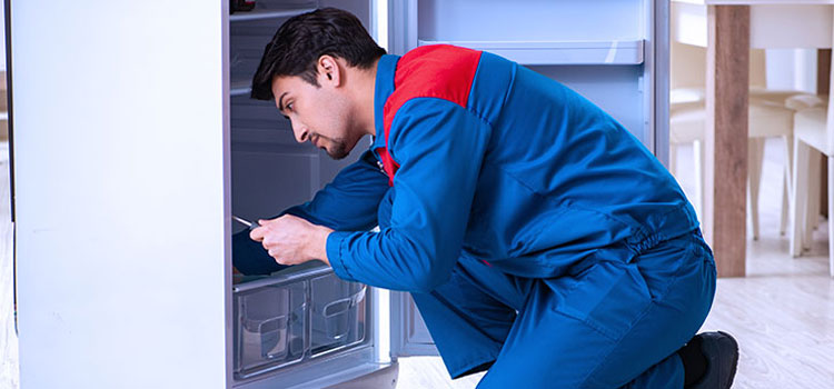 Freezer Repair Services in Mount Vernon, New York